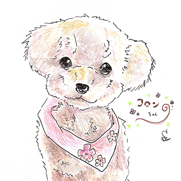 イラスト・コロンちゃん